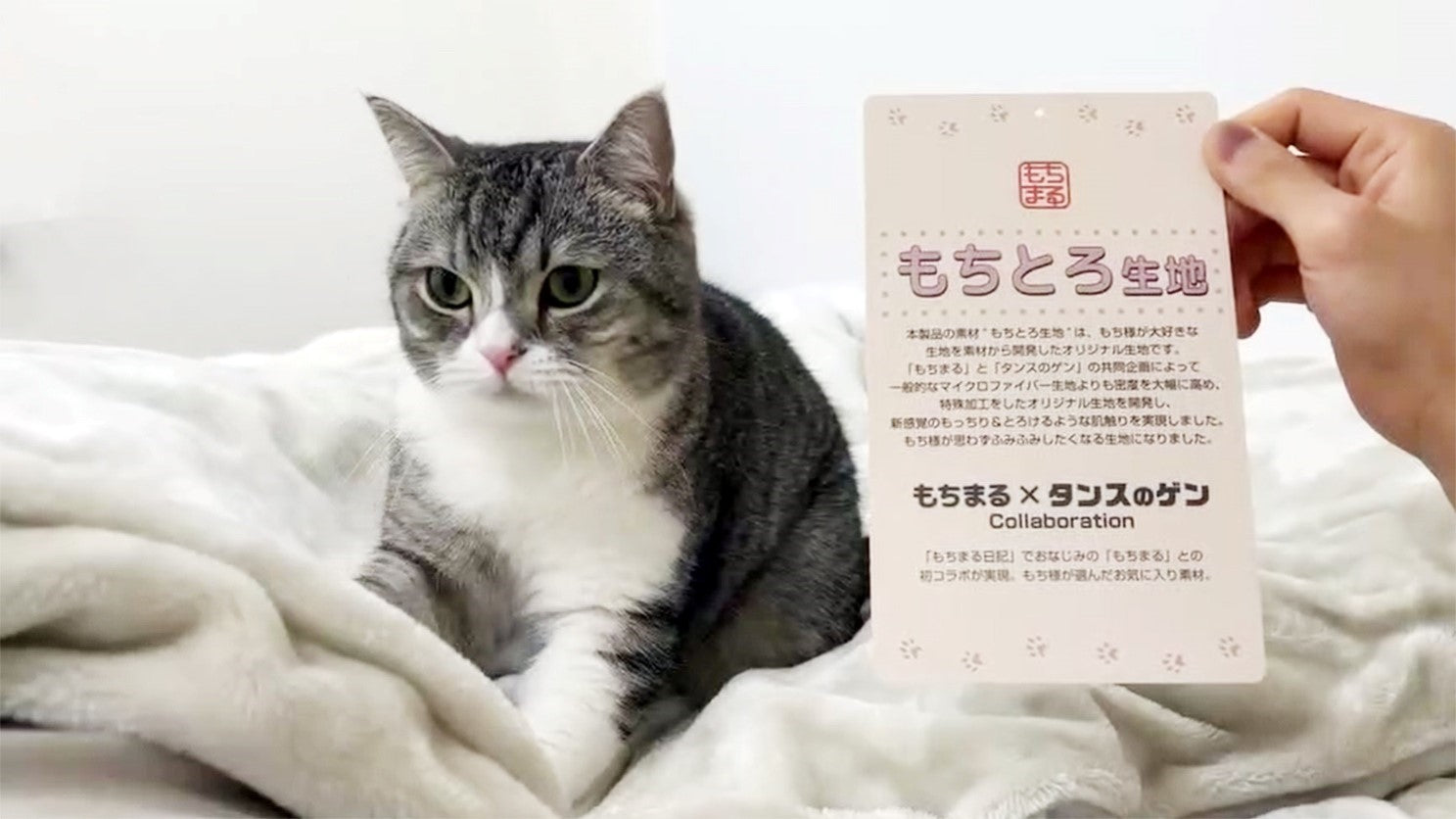 アンバサダー『もちまる』との新商品発売