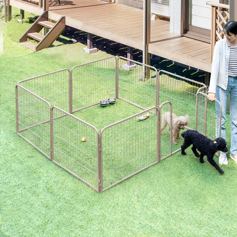 11月6日（木）