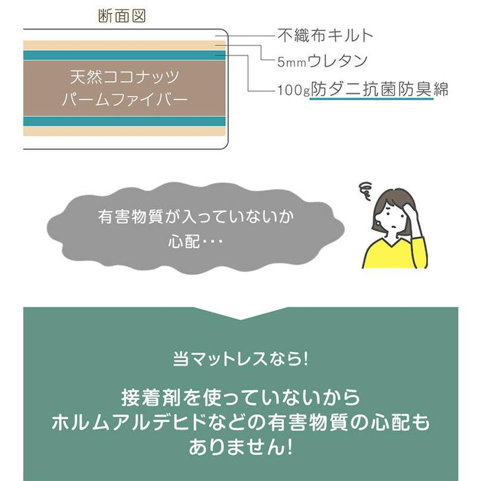 寝顔が見れる 二段ベッド マットレス付き 2枚 高さ3段階 コンセント シングル対応 分割可能 コンパクト ロータイプ【超大型商品】〔99993088〕