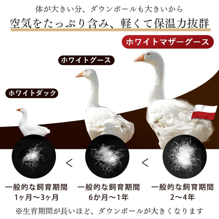 [セミダブル] 女神の羽毛布団 増量1.5kg ポーランド産マザーグースダウン95％ CILブラックラベル 二層キルト 440dp以上 かさ高180mm以上  60サテン 7年保証 日本製 〔10119048〕