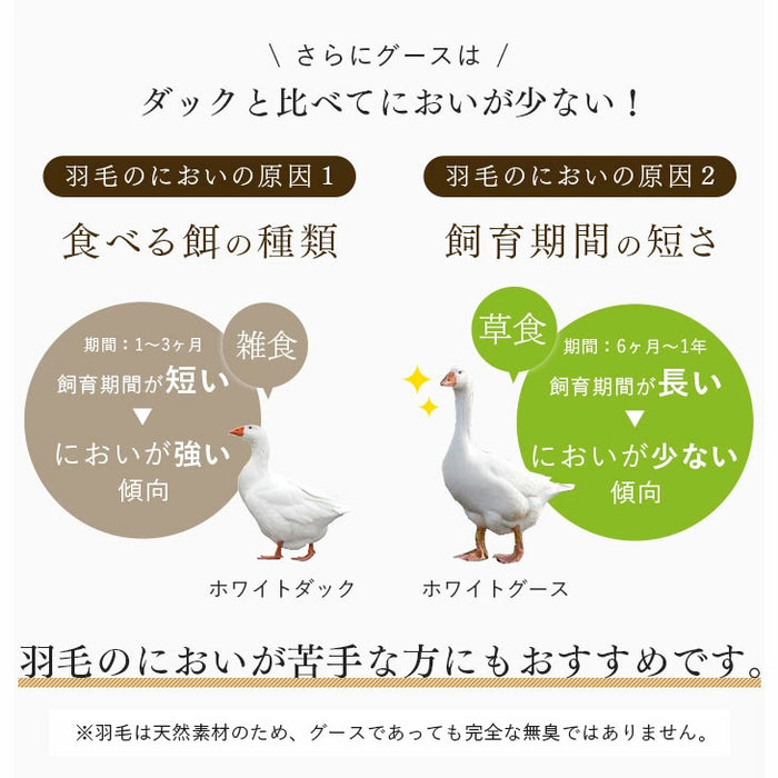 [セミダブル] 女神の羽毛布団 増量1.5kg ポーランド産マザーグースダウン95％ CILブラックラベル 二層キルト 440dp以上 かさ高180mm以上  60サテン 7年保証 日本製 〔10119048〕
