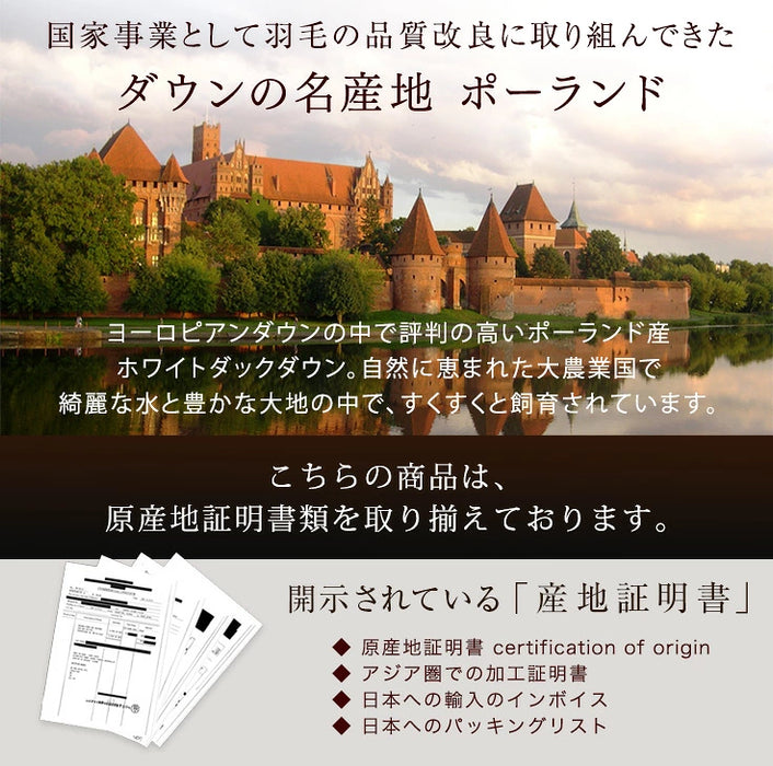 《お宝プライス》［ダブル］羽毛布団 洗える ゴールドラベル ダウン93％ 立体キルト 400dp以上 日本製 軽量 暖かい〔11100465〕