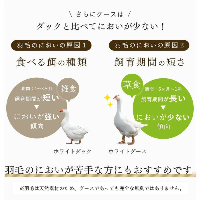 《2026スペシャル》 ［セミダブル］柄任せ 羽毛布団 グースダウン90％ ハンガリー産 30マス立体キルト コインランドリーで洗える 収納ケース付〔11100472〕