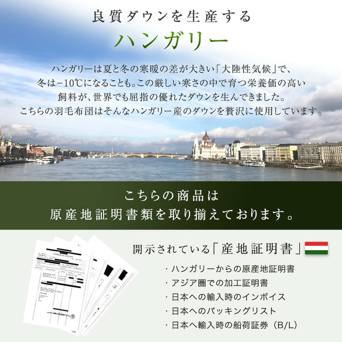 《2026スペシャル》 ［セミダブル］柄任せ 羽毛布団 グースダウン90％ ハンガリー産 30マス立体キルト コインランドリーで洗える 収納ケース付〔11100472〕
