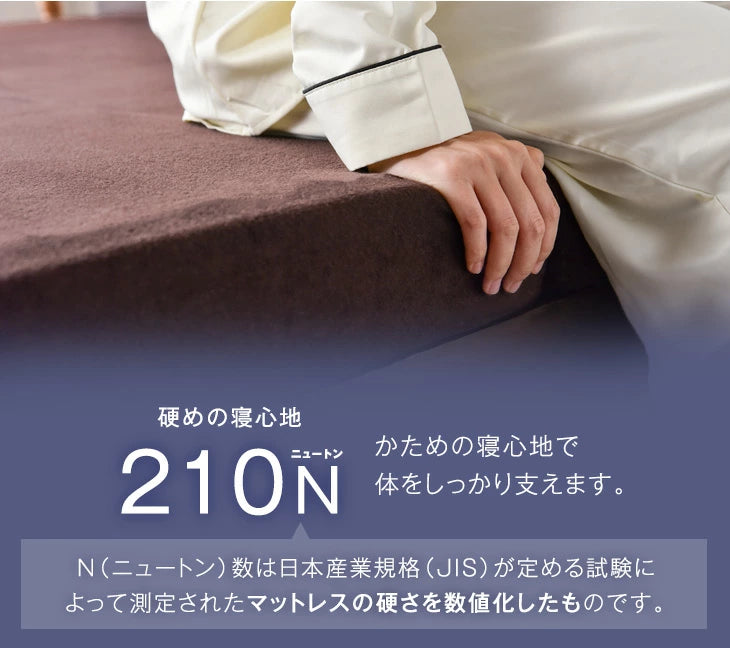 ［シングル］ 確かな品質「純」高反発マットレス 高密度30D 210N 厚み10cm〔13810016〕