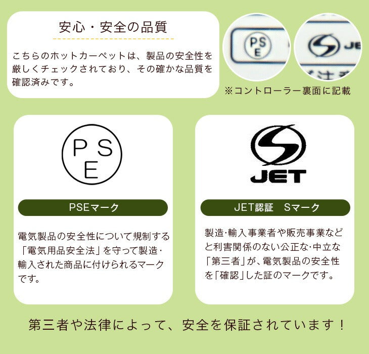 [3畳] ラグ+ホットカーペット2点セット防菌 防臭 防ダニ  軽量 滑り止め付 床暖房カーペット オールシーズン 絨毯 ストライプ フランネル〔99900119〕