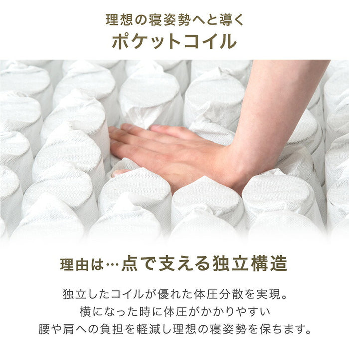 ［シングル］RENEW 寝心地UP 贅沢2層 ポケットコイルマットレス 極厚22cm 高反発ウレタン 抗菌 防臭〔17810160〕