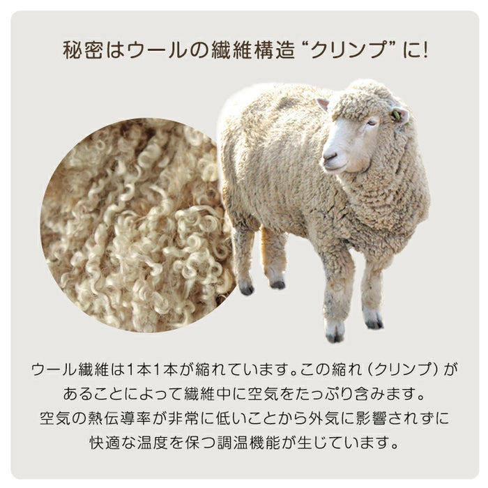 ［1枚］RENEW 二段ベッド用3層敷布団 国産 羊毛混 綿100％ コンパクト 抗菌 防臭 小さめサイズ ウール 軽量 子供〔18510010〕