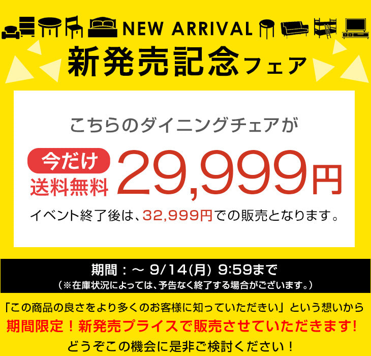 【新発売記念プライス】［2脚セット］テーブルに掛けられる ダイニングチェア 天然木 完成品 肘付き 木製 ペーパーコード おしゃれ お掃除ロボット対応〔49600502〕