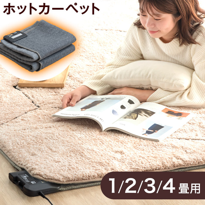 ［4畳用］ホットカーペット 単品 195×290㎝ 8時間自動切タイマー 防ダニ 床暖房カーペット 〔21700022〕
