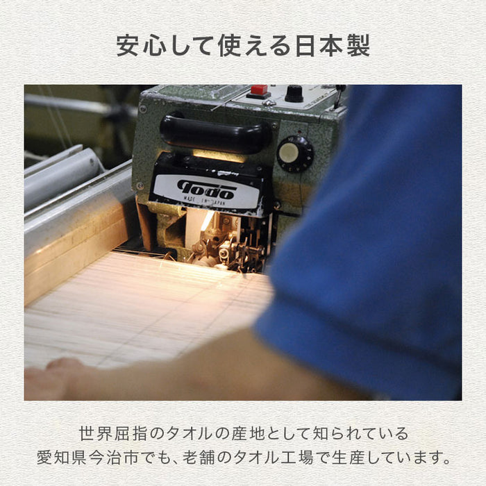 もちまる監修 今治フェイスタオル 3枚セット 日本製 380匁 綿100% コットン 厚手 吸水 無地〔23600017〕