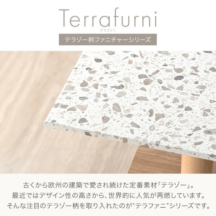Terrafurni -テラファニ- センターテーブル テラゾー柄 国産 幅105cm ロータイプ 長方形 日本製 ローテーブル〔24900119〕