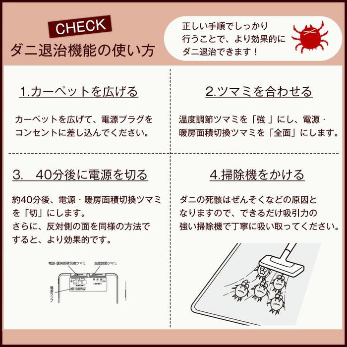 ［3畳用］200×250cm 高反発ラグ ホットカーペット 2点セット 滑り止め付〔30300020〕