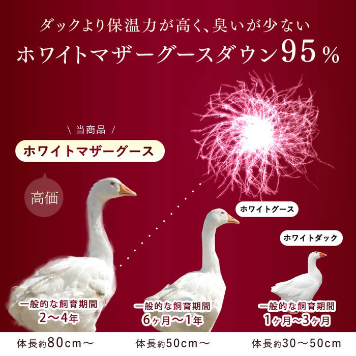 [ダブル] 羽毛布団 超増量2.0kg 日本製 マザーグースダウン95％ CILブラックラベル 二層キルト 440dp以上 かさ高180mm以上 超長綿 7年保証〔39100122〕