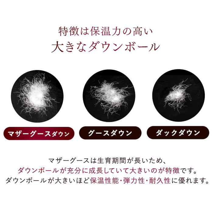 [セミダブル] 羽毛布団 超増量1.7kg 日本製 マザーグースダウン95％ CILブラックラベル 二層キルト 440dp以上 かさ高180mm以上 超長綿 7年保証 〔39100123〕