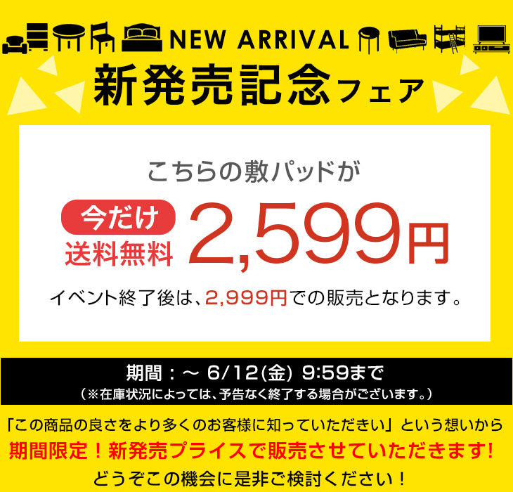 【新発売記念プライス】［ダブル］敷パッド 抗菌 冷感 リバーシブル 接触冷感 防臭 洗える AG－COOL〔62100288〕