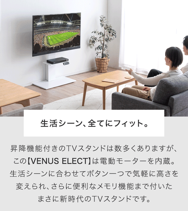 メモリ機能付き 電動昇降 テレビスタンド 上下/左右 首振り ～ 65インチ 隠しキャスター付 テレビラック ヴィーナスエレクト〔45400093〕