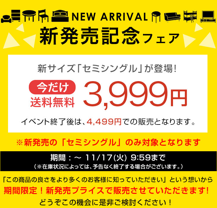 【新発売記念プライス】 《シリーズ累計80万枚突破》［セミシングル］四つ折り すのこマット すのこ厚1cm 軽量 湿気対策 折りたたみ すのこベッド  コンパクト カビ対策〔17600259〕