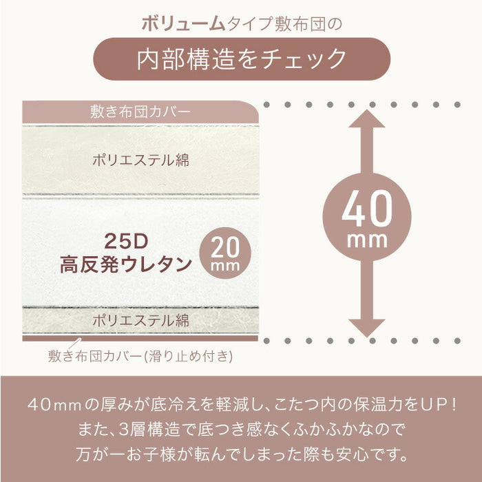 【対応こたつサイズ：幅105-120×奥行75-90cm】とろりん こたつ布団 通常タイプ 掛敷2点セット 何度も洗える 防臭 大判 掛け布団 敷布団〔61140514〕