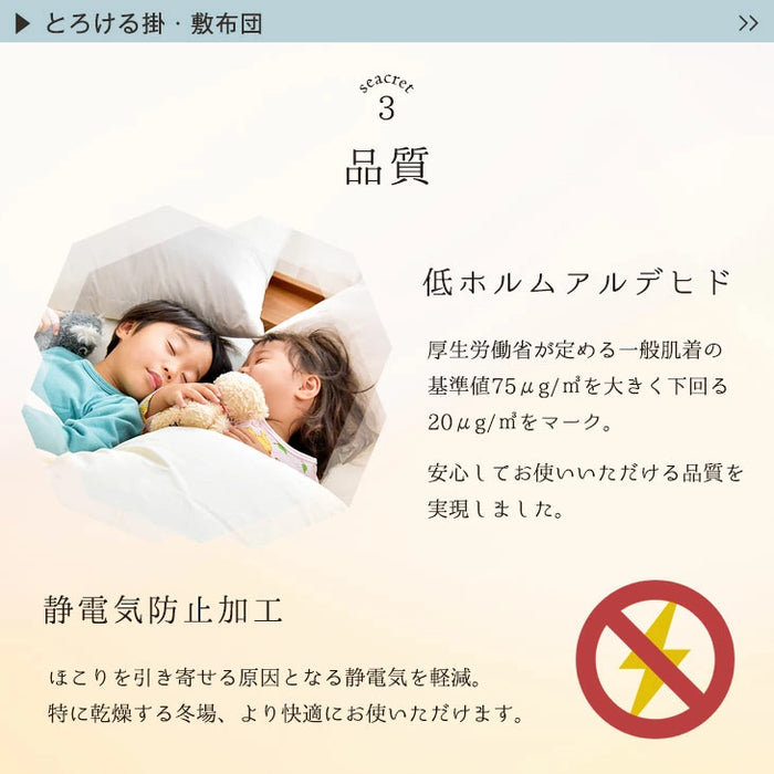【対応こたつサイズ：幅105-120×奥行75-90cm】とろりん こたつ布団 通常タイプ 掛敷2点セット 何度も洗える 防臭 大判 掛け布団 敷布団〔61140514〕