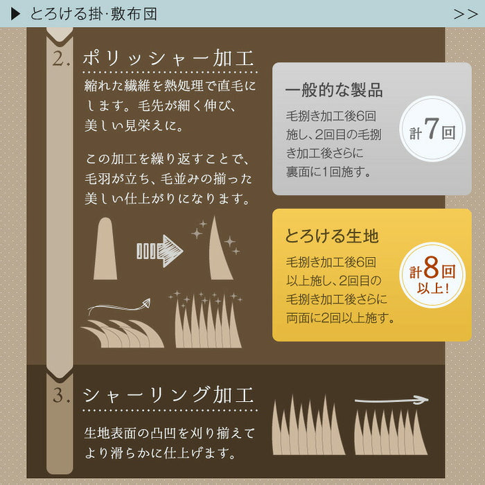 【対応こたつサイズ：幅105-120×奥行75-90cm】とろりん こたつ布団 通常タイプ 掛敷2点セット 何度も洗える 防臭 大判 掛け布団 敷布団〔61140514〕