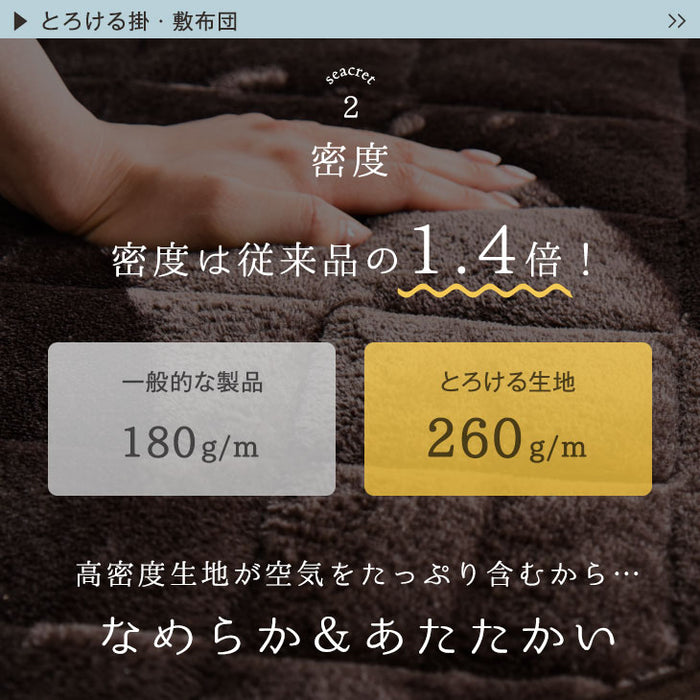 【対応こたつサイズ：幅105-120×奥行75-90cm】とろりん こたつ布団 通常タイプ 掛敷2点セット 何度も洗える 防臭 大判 掛け布団 敷布団〔61140514〕