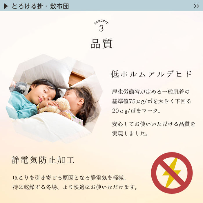 とろける肌触り こたつ布団 掛敷セット 円形 丸型 洗える抗菌 防臭〔61140724〕