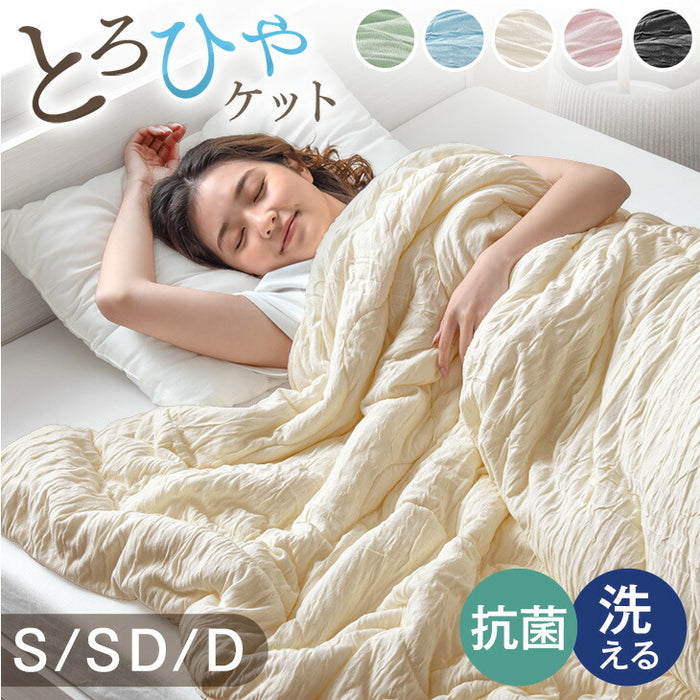 ［セミダブル］［スタンダードタイプ］とろけるような肌触り レーヨンケット 160×190cm 洗える とろふわ トロ とろフワ 夏 夏用 布団〔58700148〕