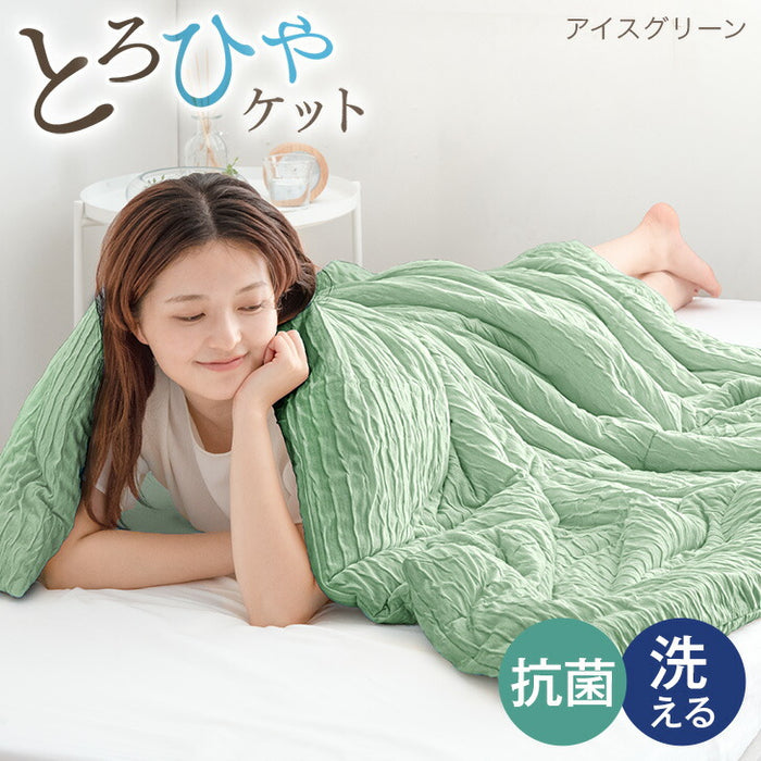 ［セミダブル］［スタンダードタイプ］とろけるような肌触り レーヨンケット 160×190cm 洗える とろふわ トロ とろフワ 夏 夏用 布団〔58700148〕