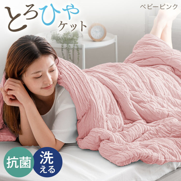 ［セミダブル］［スタンダードタイプ］とろけるような肌触り レーヨンケット 160×190cm 洗える とろふわ トロ とろフワ 夏 夏用 布団〔58700148〕