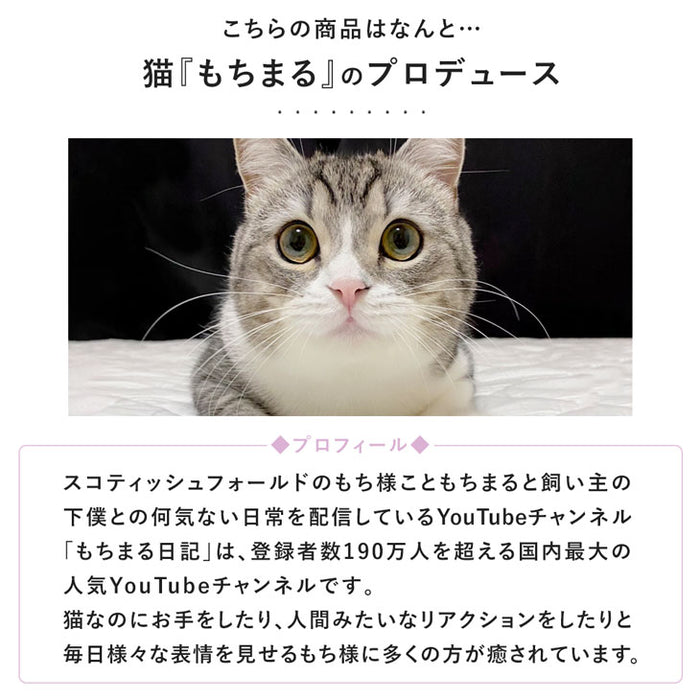 もちまる監修 今治フェイスタオル 3枚セット 日本製 380匁 綿100% コットン 厚手 吸水 無地〔23600017〕