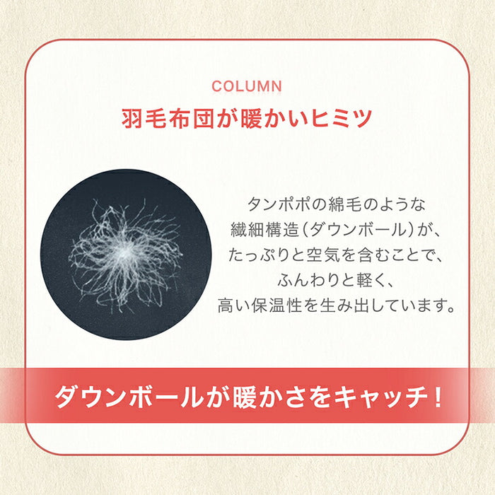 【復活記念プライス】［シングル スタンダードタイプ］発熱 人工羽毛 掛け布団 洗える 暖かい 軽量 丸洗い可能 保温〔63900065〕