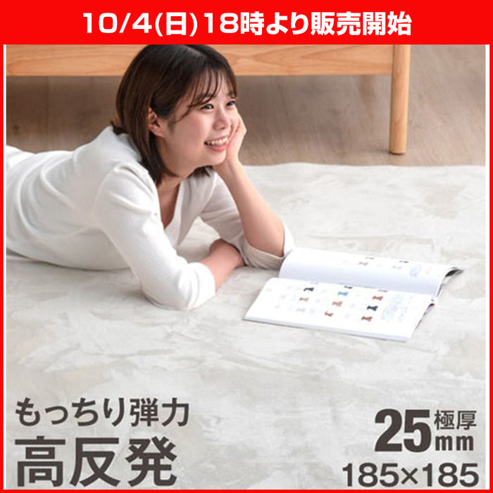 ★18時～販売開始★【アウトレット半額!! キャンセル戻り品】［185×185］極厚25mm 高反発ラグ 滑り止め付 フランネル生地 ホットカーペット対応 防音 ラグマット ラグ〔6501000231out・out3199〕