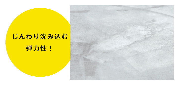 ［3畳用］200×250cm 高反発ラグ ホットカーペット 2点セット 滑り止め付〔30300020〕