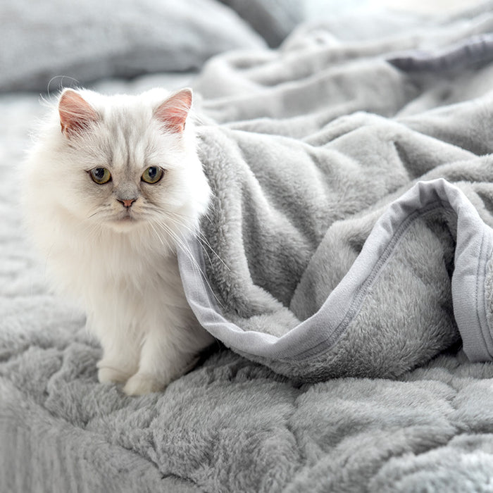 ≪TVで紹介≫[ハーフ] もはや、ねこ。 2枚合わせ 洗える 掛け毛布 ブランケット 綿入り毛布  あったか  冬用 厚手 猫の手触り 可愛い〔80100306〕
