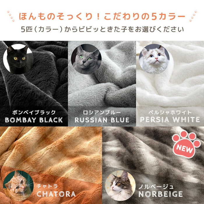 ≪TVで紹介≫[シングル] もはや、ねこ。 2枚合わせ 洗える 掛け毛布 ブランケット 綿入り毛布  あったか  冬用 厚手 猫の手触り 可愛い〔80100133〕