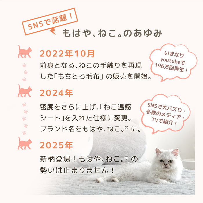 ≪TVで紹介≫[シングル] もはや、ねこ。 2枚合わせ 洗える 掛け毛布 ブランケット 綿入り毛布  あったか  冬用 厚手 猫の手触り 可愛い〔80100133〕