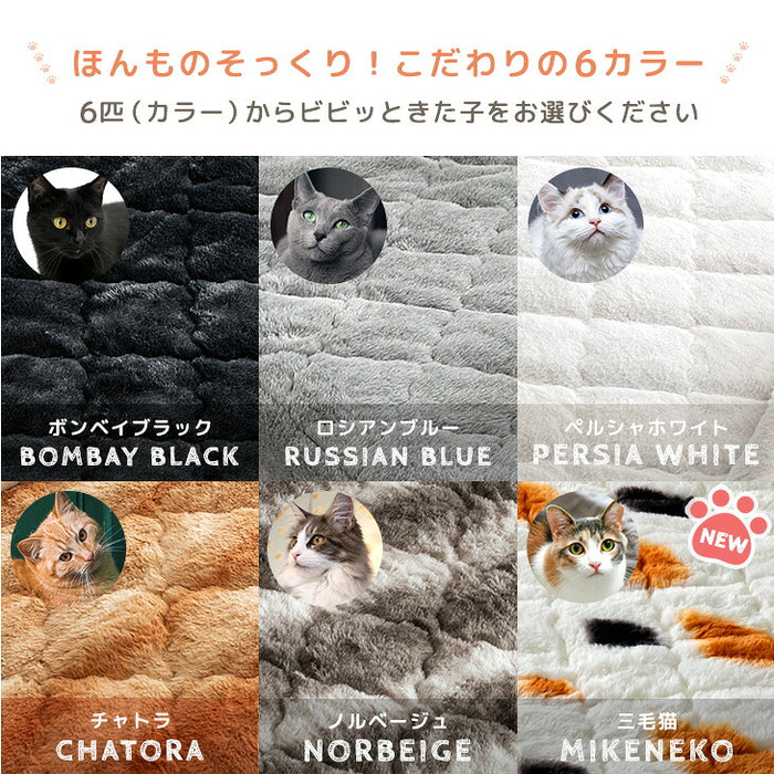 ≪TVで紹介≫[シングル] もはや、ねこ。 一体型 ボックスシーツ 洗える 暖かい 防ダニ 抗菌防臭 敷きパッド秋冬用 猫柄 おしゃれ〔80100136〕