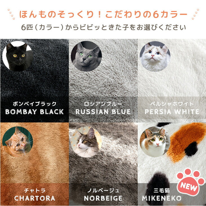 ≪TVで紹介≫もはや、ねこ。 クッション 洗える 直径50cm 丸洗い 大きい 暖かい フロアクッション 枕 冬用 厚手 猫の手触り かわいい おしゃれ 北欧〔80100140〕