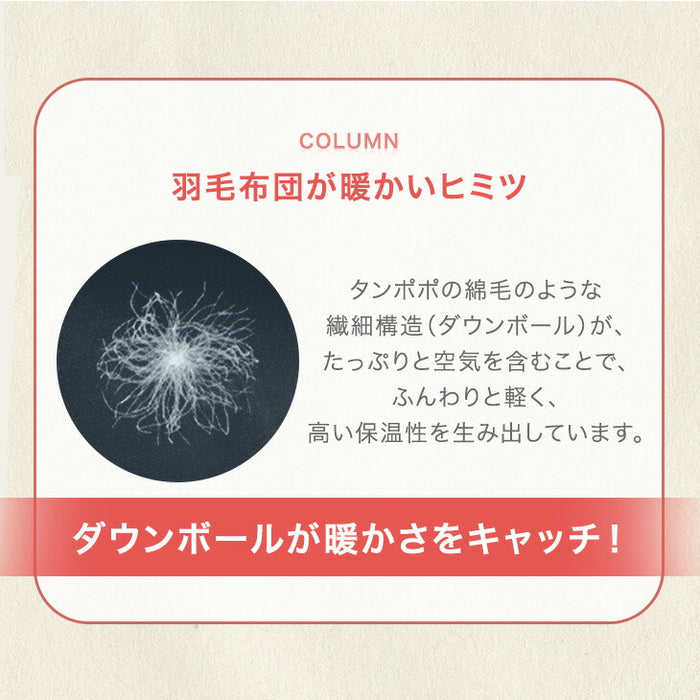 ［シングル］もはや、羽毛。洗える 掛け布団 防ダニ 洗濯ネット付き 暖かい 人工ダウン 人工羽毛〔80100181〕