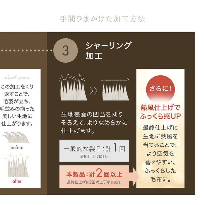 【新発売記念プライス】［シングル・ライトタイプ］ もはや、こたつ。(R) 掛け布団 吸湿発熱 日本製 洗える 暖かい 抗菌 防臭 防ダニ〔81900243〕