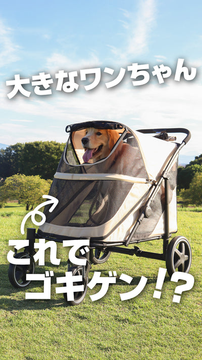 動画 56
