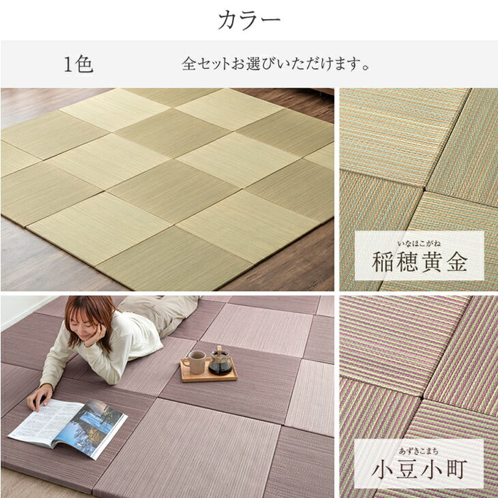 【4枚 厚み2.5cm 0.75畳用】敷くだけカンタン 置き畳 軽量 い草 抗菌 防臭 防音 滑り止め 床暖房対応 琉球畳 和室 賃貸〔86211401〕