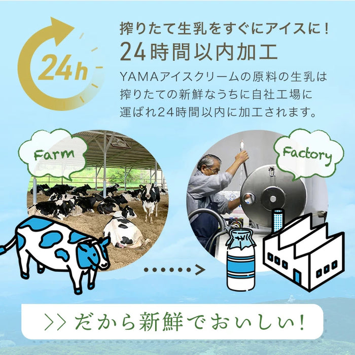 搾りたて生乳 九州 牧場 アイスクリーム 8種セット YAMA 濃厚 ミルク 食べ比べ 詰め合わせ ギフト 無添加 ノンホモ ミルク バニラ 抹茶 ストロベリー 誕生日 お中元 暑中見舞い プレゼント ギフト〔87721222〕