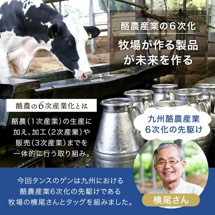 搾りたて生乳 九州 牧場 アイスクリーム 8種セット YAMA 濃厚 ミルク 食べ比べ 詰め合わせ ギフト 無添加 ノンホモ ミルク バニラ 抹茶 ストロベリー 誕生日 お中元 暑中見舞い プレゼント ギフト〔87721222〕