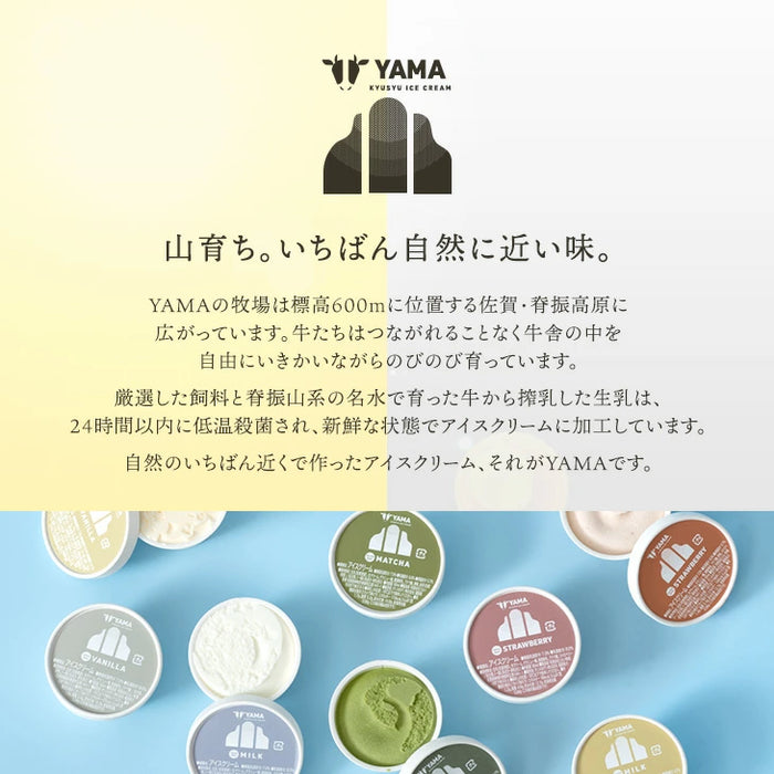 搾りたて生乳 九州 牧場 アイスクリーム 8種セット YAMA 濃厚 ミルク 食べ比べ 詰め合わせ ギフト 無添加 ノンホモ ミルク バニラ 抹茶 ストロベリー 誕生日 お中元 暑中見舞い プレゼント ギフト〔87721222〕