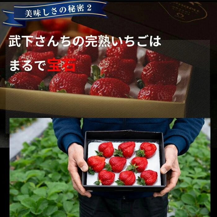 武下さんちの“完熟” あまおうジェラート 究極いちご含有率56％ 6個 ギフト いちご 福岡県 大川 アイスクリーム シャーベット カップアイス 詰め合わせ 無着色 お中元 暑中見舞い プレゼント ギフト〔89600008〕