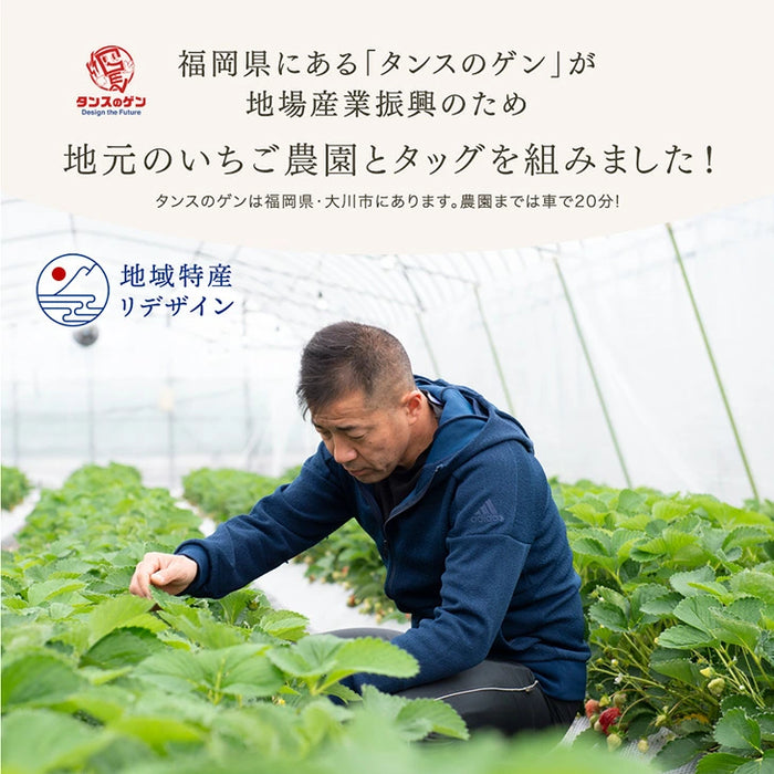 ［6個セット］武下さんちの“完熟” あまおうミルクジェラート 究極いちご含有率50％ ギフト いちご 福岡県 アイスクリーム シャーベット カップアイス ギフトセット 無着色 お中元 暑中見舞い プレゼント ギフト〔8960001500〕