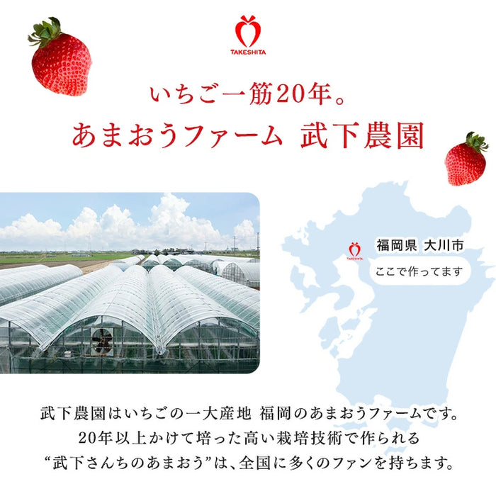 大容量 2L 武下さんちの“完熟” あまおうジェラート 究極いちご含有率56％ 福岡県 大川 アイスクリーム シャーベット パーティー バーベキュー イチゴ スイーツ ファミリー 無着色〔89600016〕