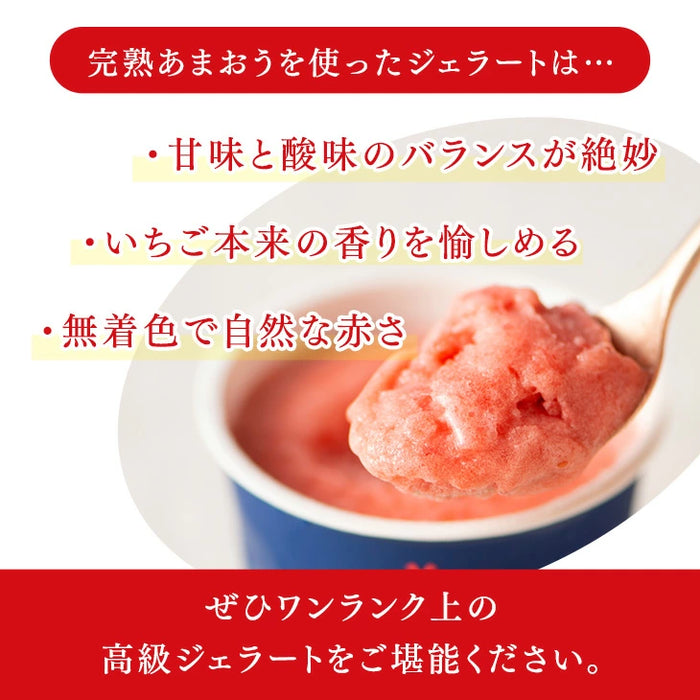 大容量 2L 武下さんちの“完熟” あまおうジェラート 究極いちご含有率56％ 福岡県 大川 アイスクリーム シャーベット パーティー バーベキュー イチゴ スイーツ ファミリー 無着色〔89600016〕